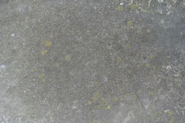 Cost of Slab Staining Service in Bozeman